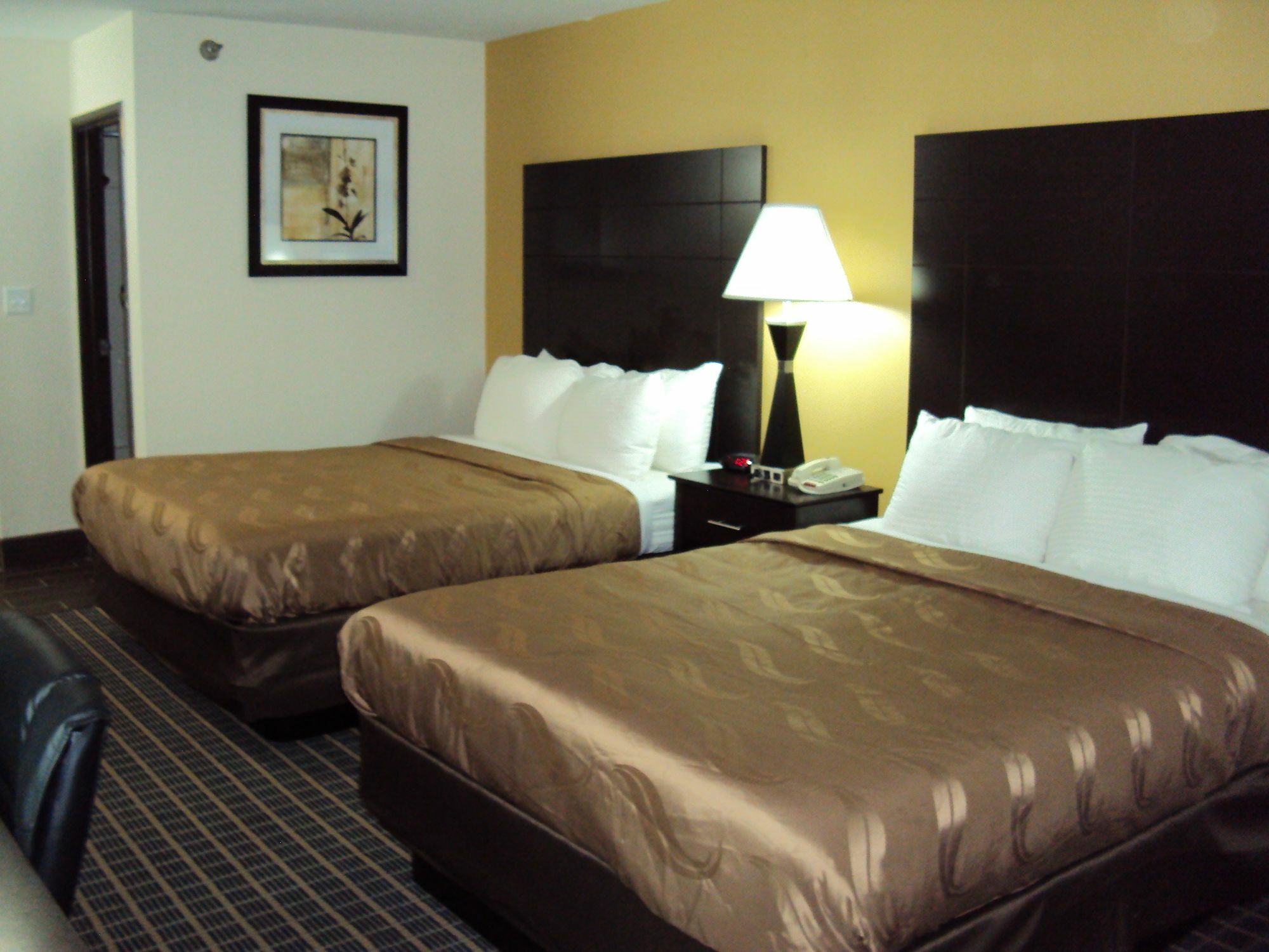 Quality Inn Carbondale University Area Exterior foto